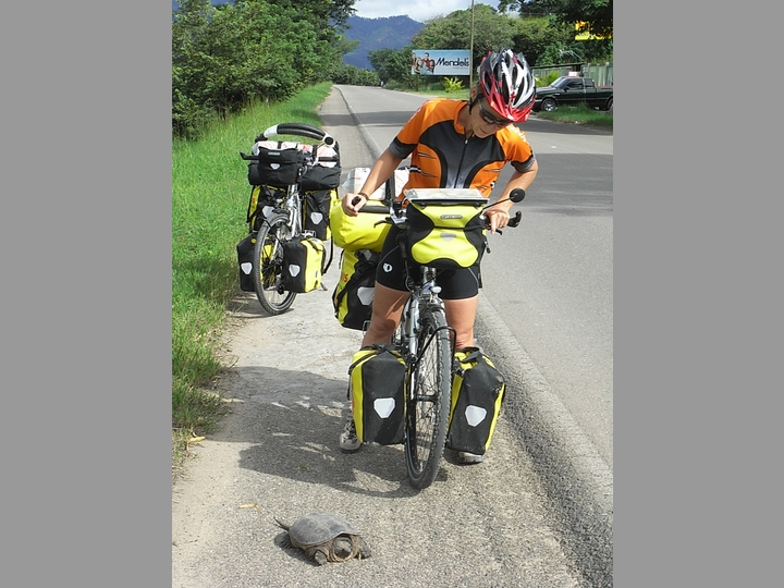 Wer hat Vorfahrt - Honduras